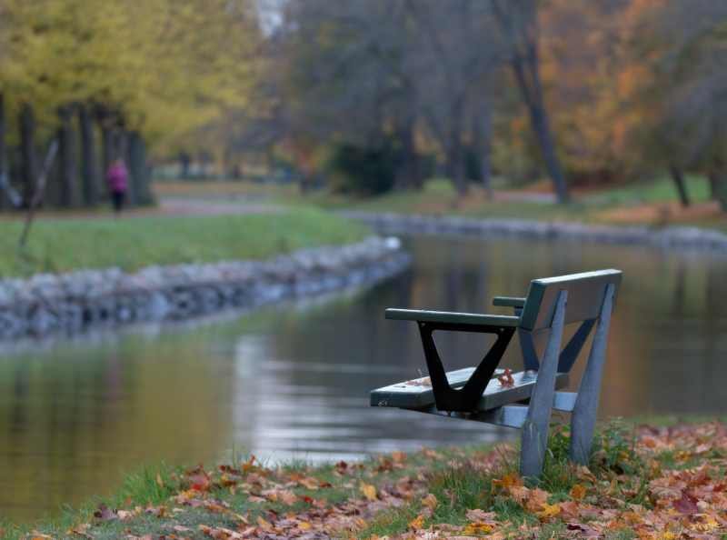 Empty bench in park during autumn