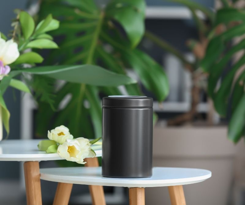 Untitled design - 2026-01-08T123624.068