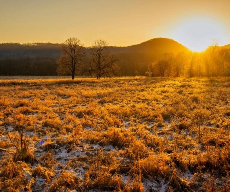 Untitled design - 2026-01-08T124402.925